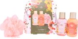 The Kind Edit Co. Spa Botanique Mini Shower Gift Set 100ml Body Wash + 100ml Body Lotion + Shower Flower + Bag