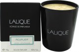 Lalique Candle 190g - Peuplier Aspen