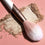 Highlighter brush Ecotools Luxe