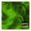 Tinte Permanente Classic Manic Panic ‎HCR 11029 Electric Lizard (118 ml)