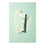 Exfolirating Shampoo Curls Redefined (250 ml)