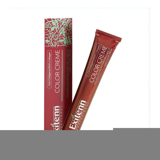 Permanent Dye Color Creme Exitenn Nº 645 Dark Copper Blonde Mahogany (60 ml)