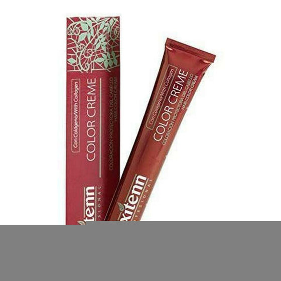 Permanent Dye Color Creme Exitenn Nº 9,1 Light Ash Blonde (60 ml)